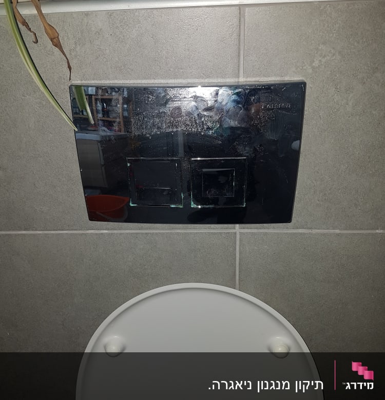 לחצן הדחה כפול על קיר מעל אסלה
